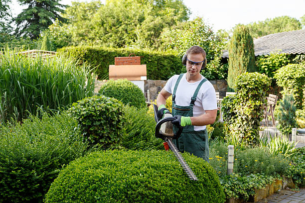 Best Lawn Watering Services  in Paulina, LA